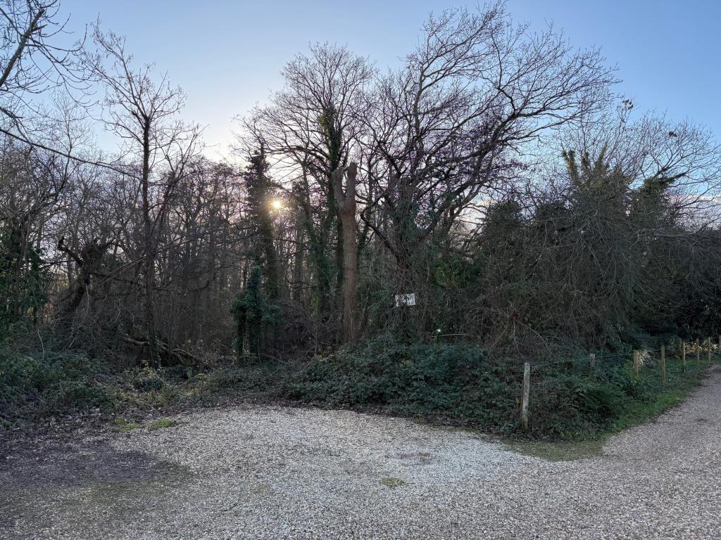 Lot: 54 - WOODLAND IN THE NEW FOREST - View of the site from Spring Lane with parking area to foreground